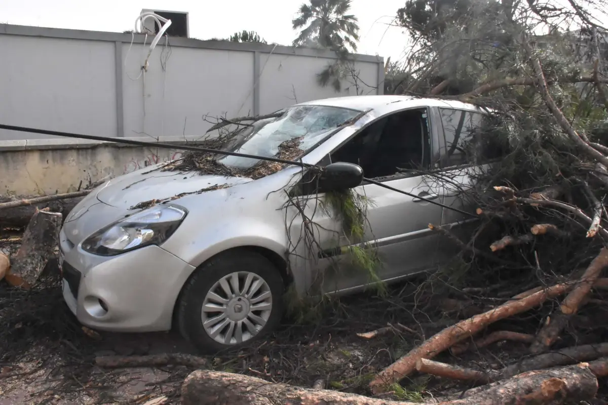 İzmir'de rüzgar nedeniyle ağaç otomobile zarar verdi