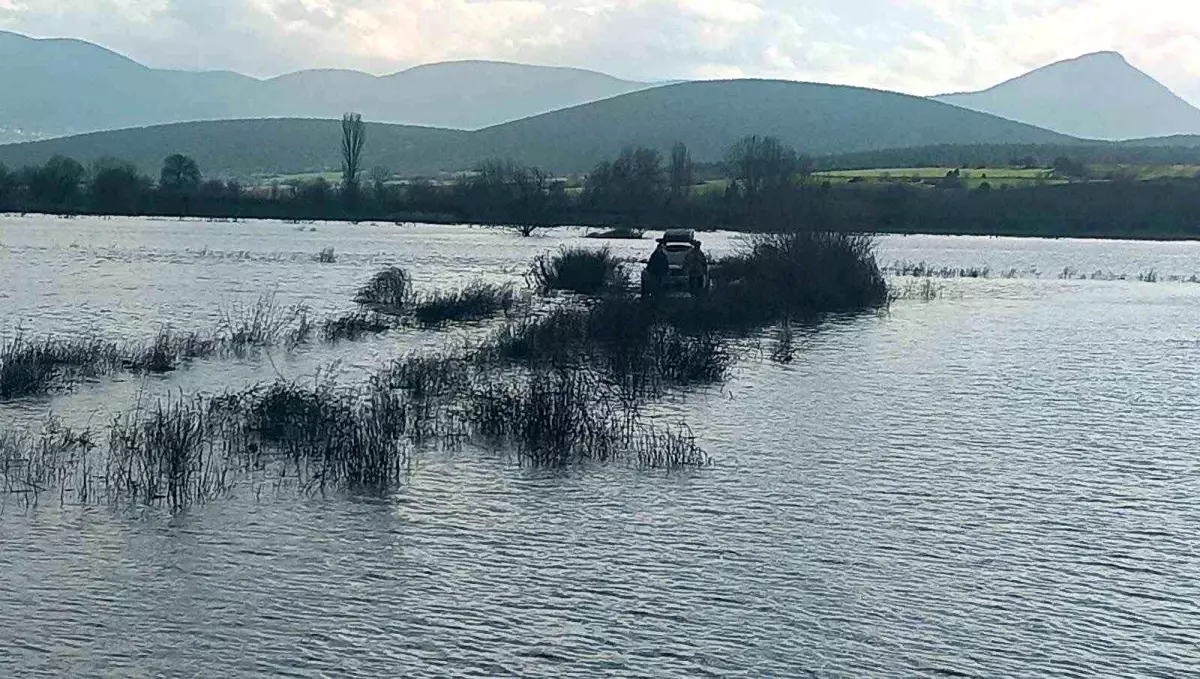 Sakarya Nehri üzerindeki adacıkta balık tutmak isteyen 2 kişi mahsur kaldı
