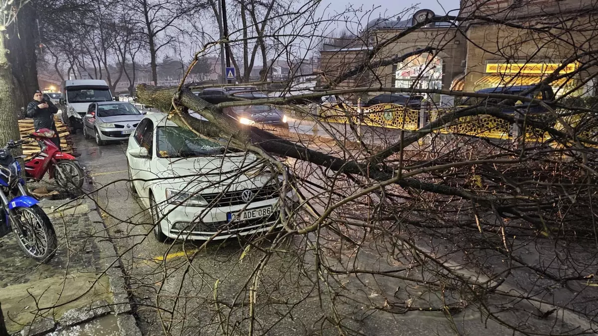 Edirne'de Fırtına Sonucu Ağaçlar Devrildi, Araçlar Zarar Gördü