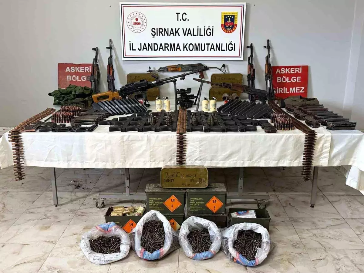 Silopi'de cephanelik ele geçirildi: 6 tutuklama