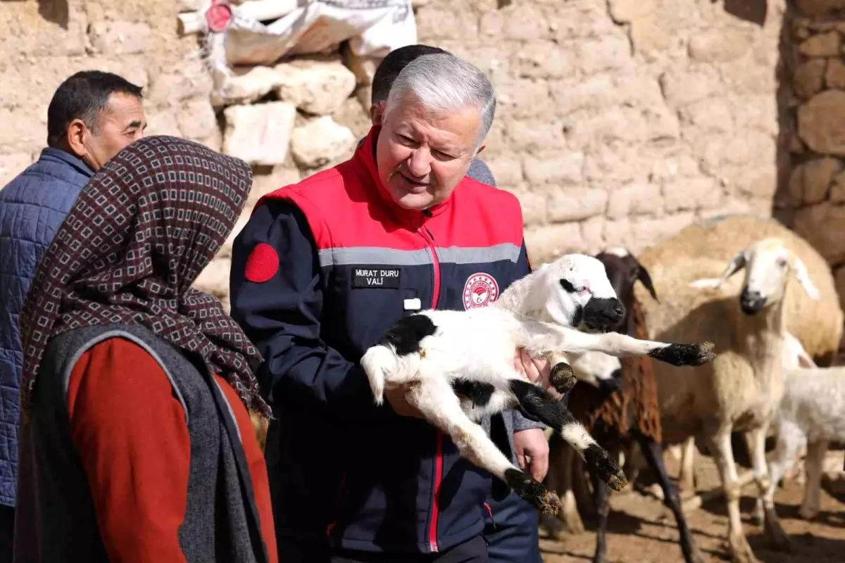 Vali Duru: "1,5 milyarlık finansmanla 125 bin küçükbaş hayvan alımı yapılacak"