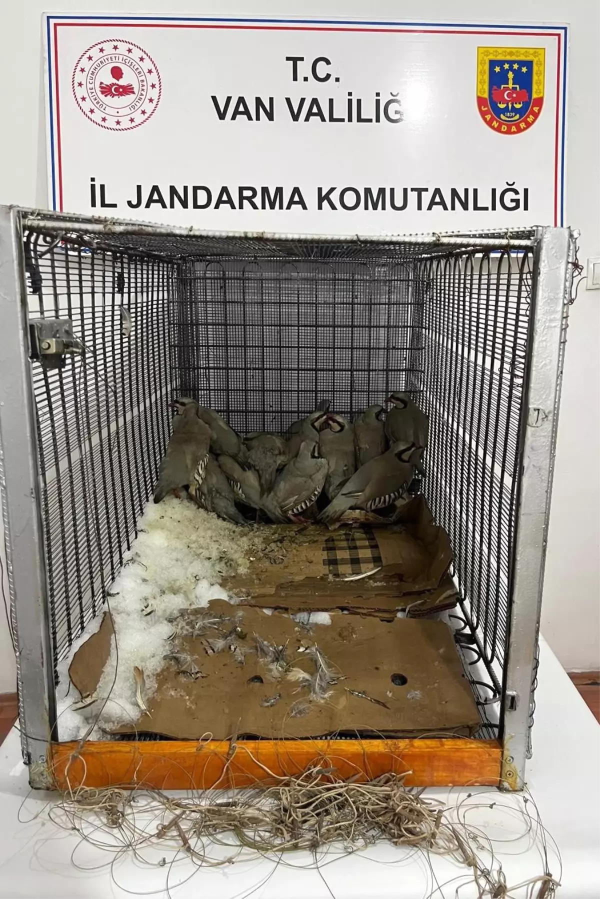 Van'da keklik avına 75 bin 303 TL idari para cezası