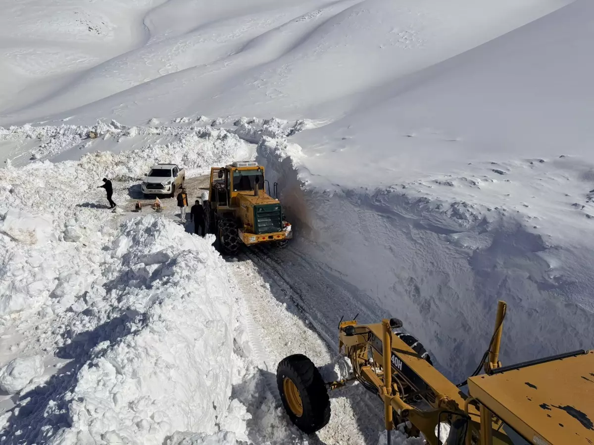 Van'ın Bahçesaray ilçesinde Özbeyli mezra yolunun ulaşıma açılması için çalışma başlatıldı