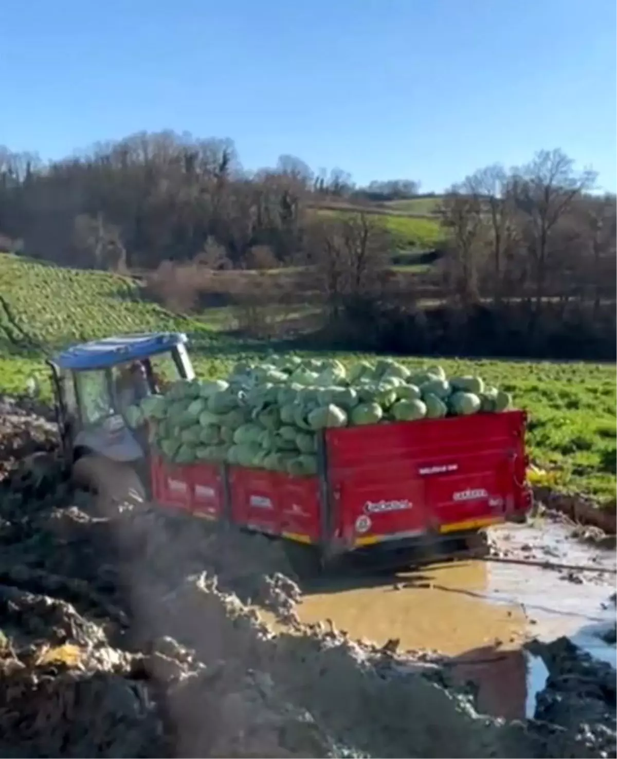 Çiftçinin zor anları