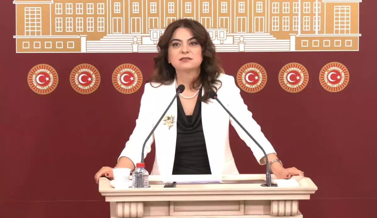 DEM Parti'li Koçyiğit: Türkiye'nin geleceği için rapor önemli bir eşik olacak