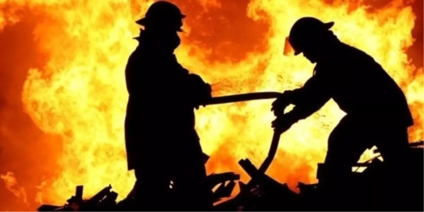 Hindistan'da bir fabrikada çıkan yangında 7 kişi öldü