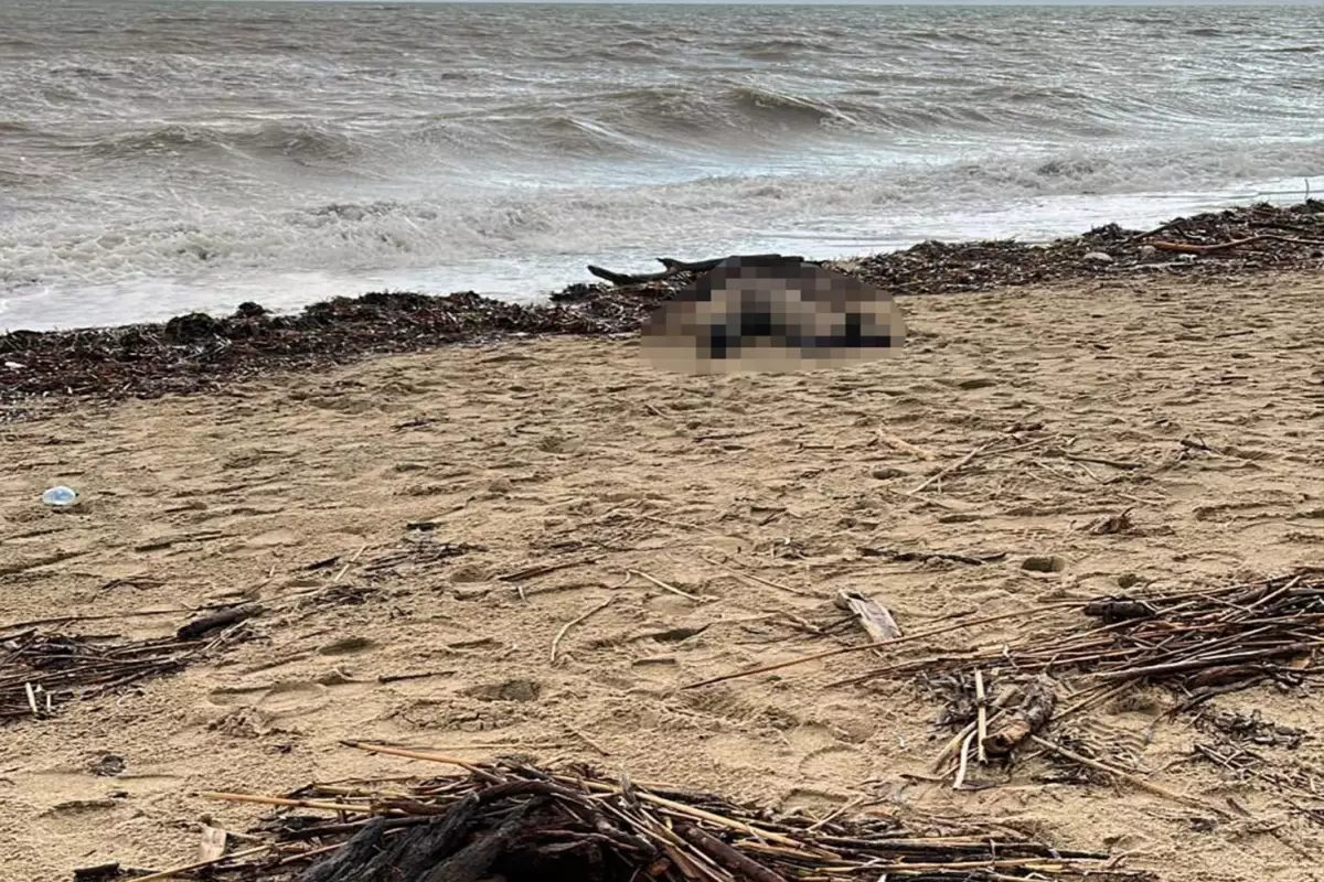 Sarımsaklı Sahili'ne kadın cesedi vurdu