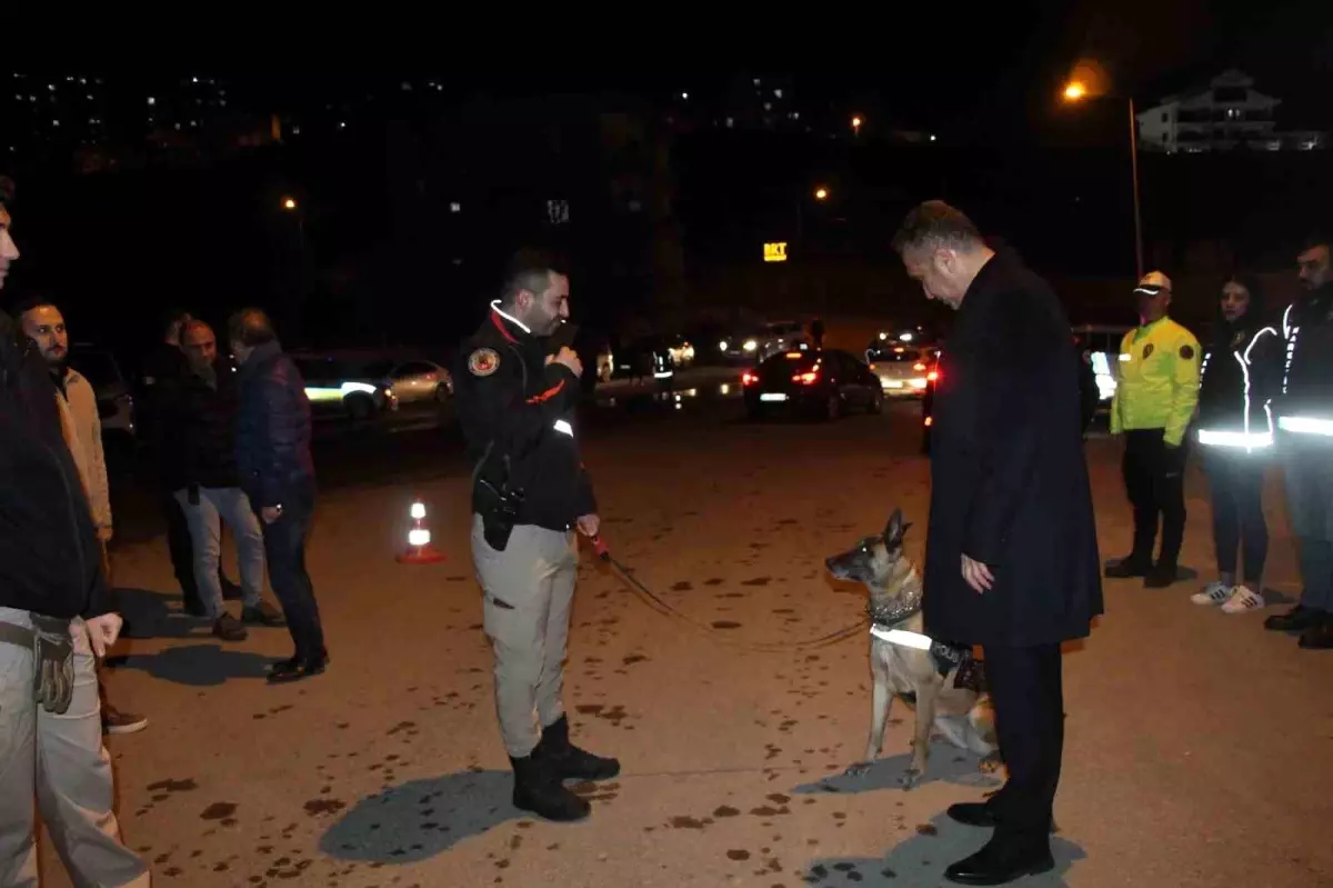 Şırnak'ta 700 polisin katılımı ile "Narko Alan" uygulaması