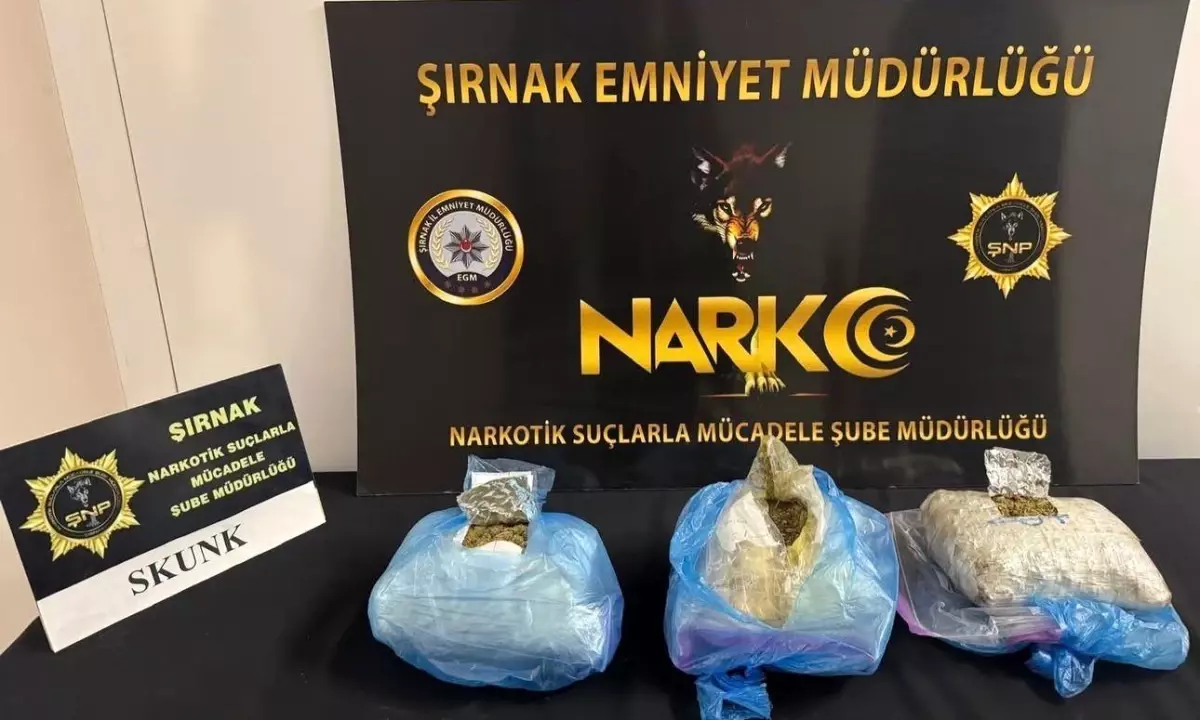 Şırnak'ta asayiş, narkotik ve kaçakçılık operasyonlarında 4 tutuklama