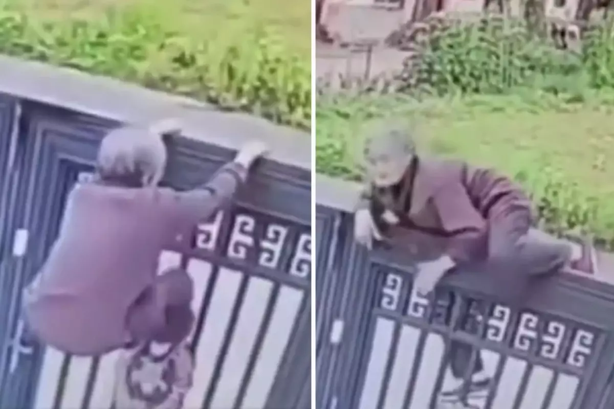 Yaşlı kadın, 2 metrelik duvardan tek hamleden atladı