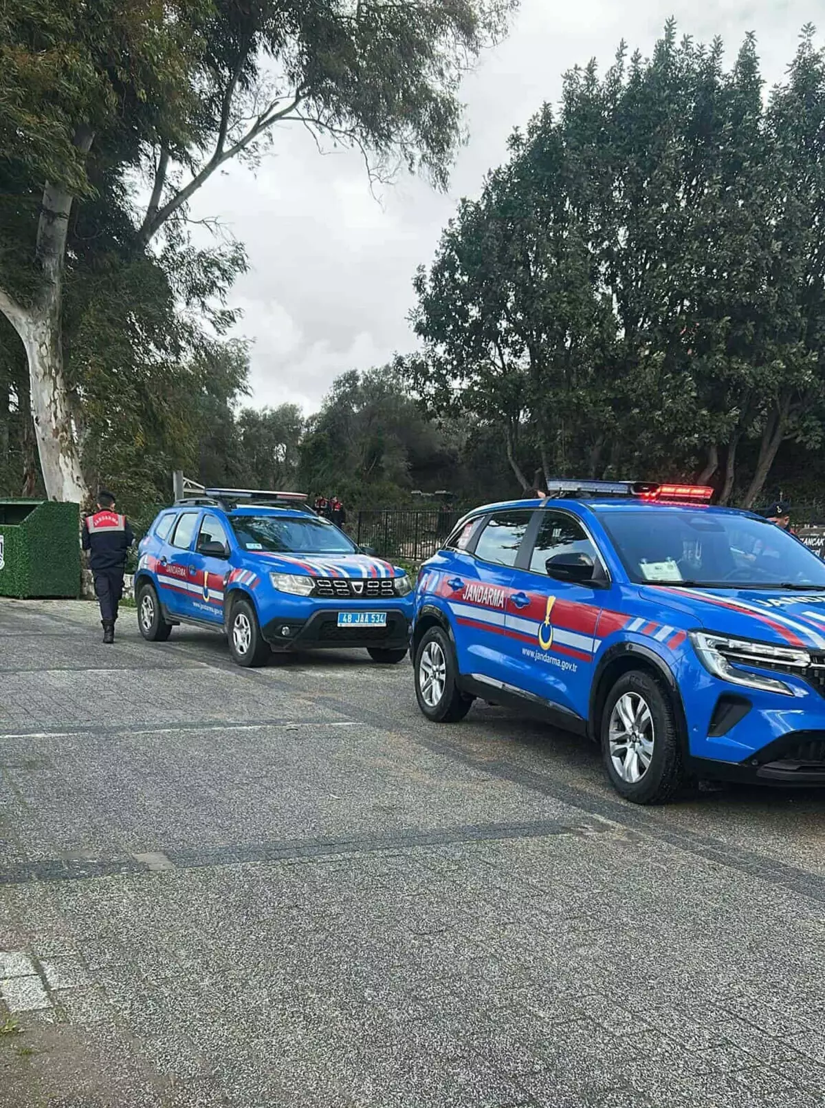 Bodrum'da 2 köpeğin öldürülmesi olayında şüpheli tutuklandı