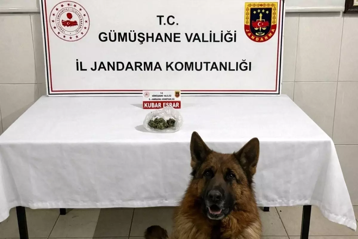 Gümüşhane'de uyuşturucu operasyonu