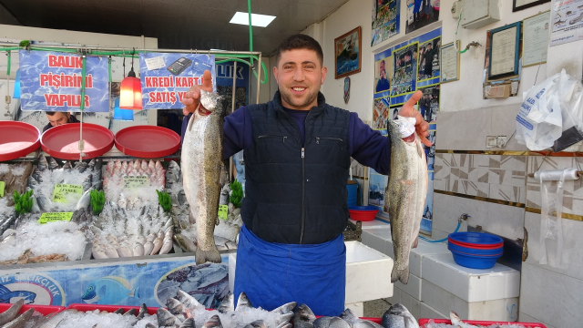 Joy of anchovies in Kilis: Citizens ate them raw