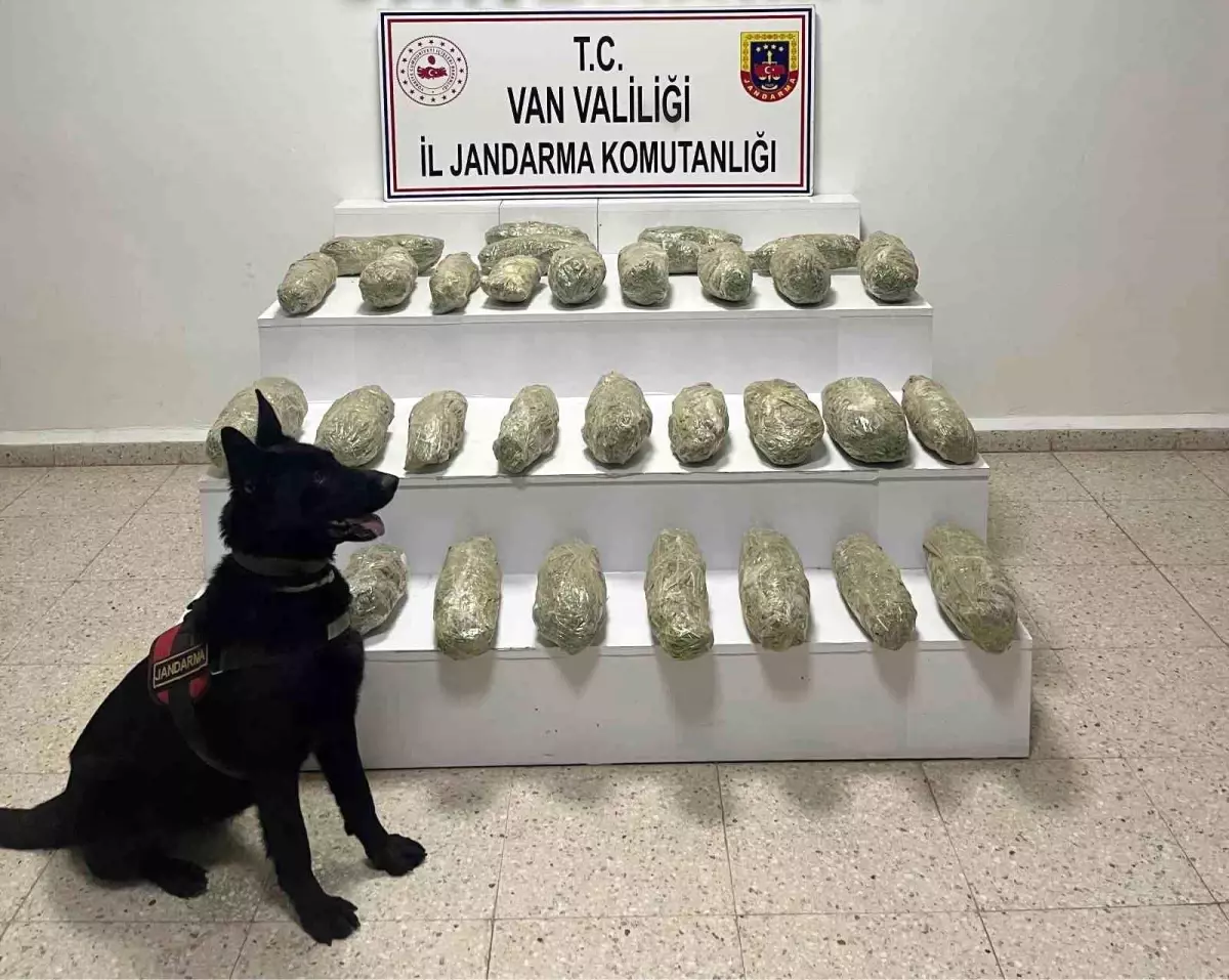 Başkale'de 21 kilo 350 gram skunk ele geçirildi