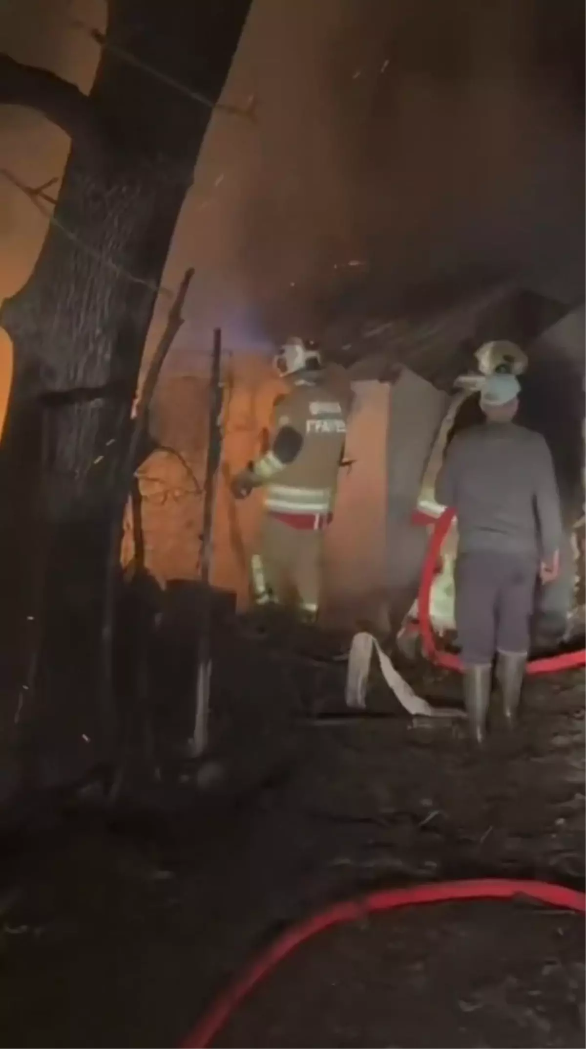 Bingöl'de ahırda çıkan yangında 6 büyükbaş öldü