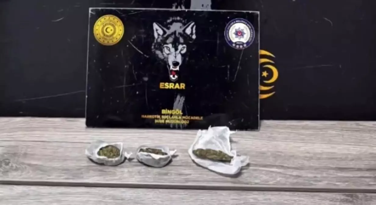 Bingöl'de uyuşturucu operasyonu: 1 tutuklama