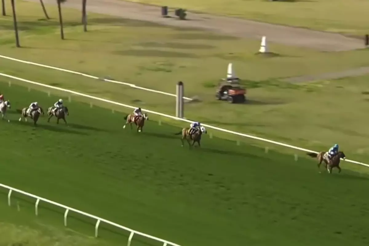 Herkes onu konuşuyor! At yarışı spikerinin anlatımı olay oldu