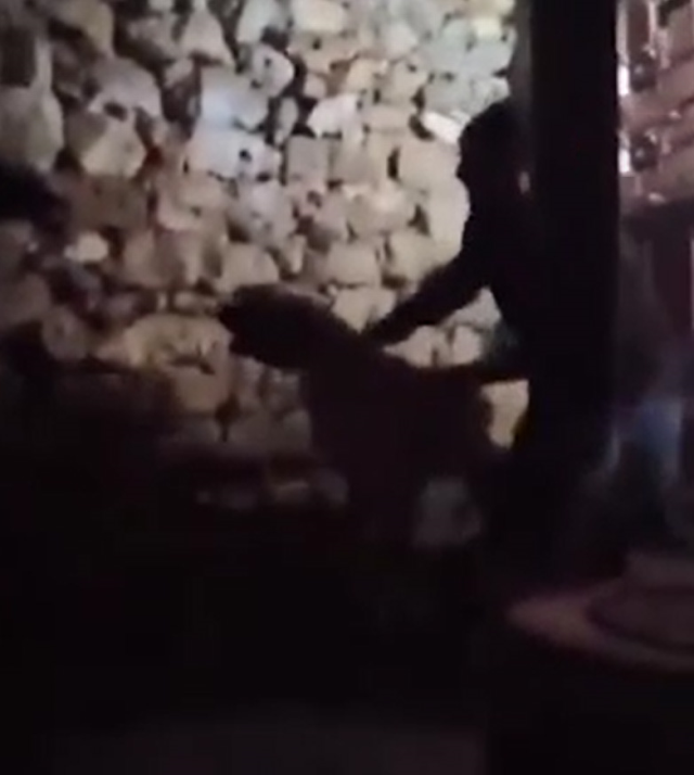 He stripped the child down to his underwear and tortured him in the barn