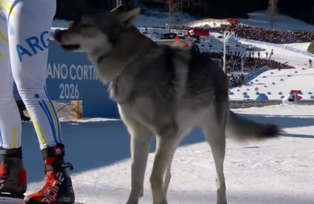 Image that overshadowed the major event