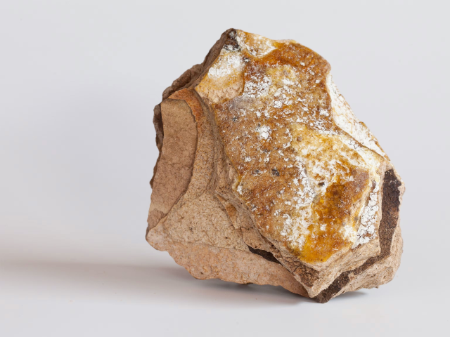 A billion-dollar treasure on the shores! At first glance, it looks like an ordinary stone, but those who find it hit the jackpot