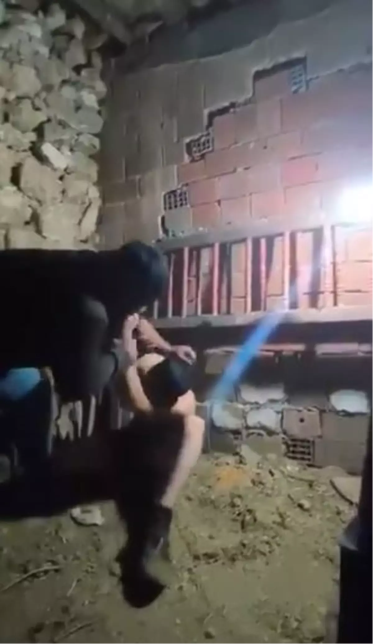 Mardin'de Güvercin Hırsızlığı İddiasıyla Çocuğa Şiddet Uygulayan Şüpheli Yeniden Gözaltına Alındı