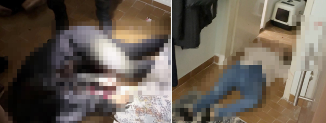 eski esinin yeni hayatina tahammul edemedigi icin 19582397 1722 m