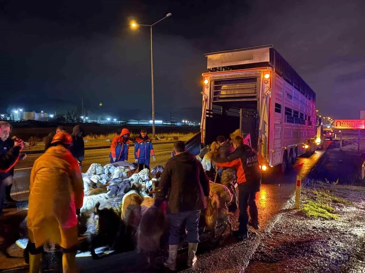 Kayseri'de taşkın riski: 200 hayvan tahliye edildi