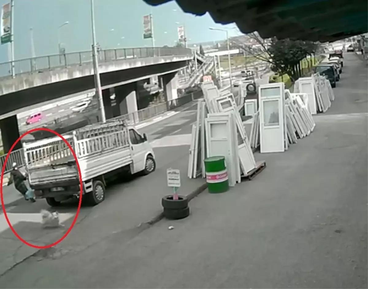 Köpekten kaçarken otobüsün çarptığı üniversiteli ağır yaralandı, kaza kamerada