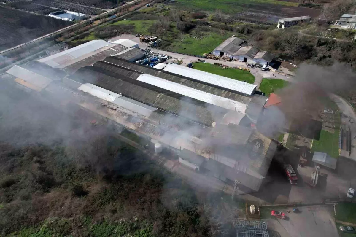 Şekerleme fabrikasında korkutan yangın: Ekipler seferber oldu
