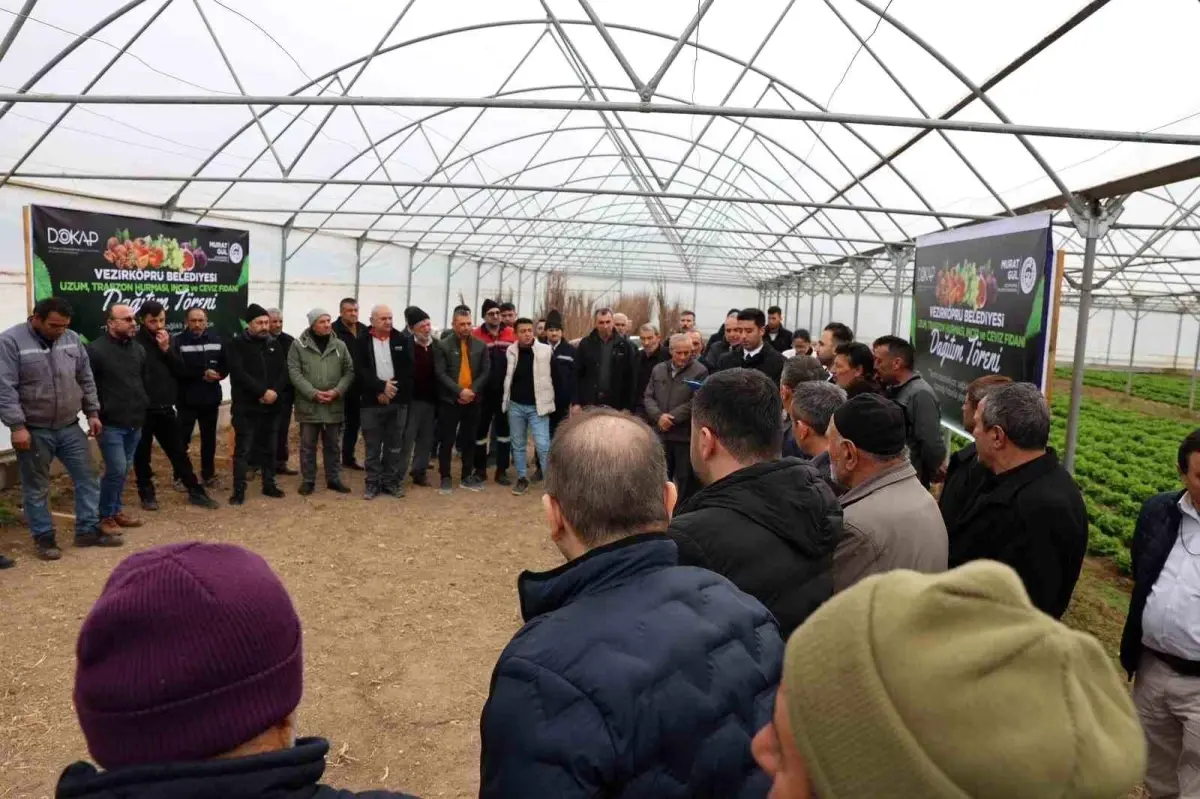 Vezirköprü'de çiftçiye 12 bin 500 meyve fidanı