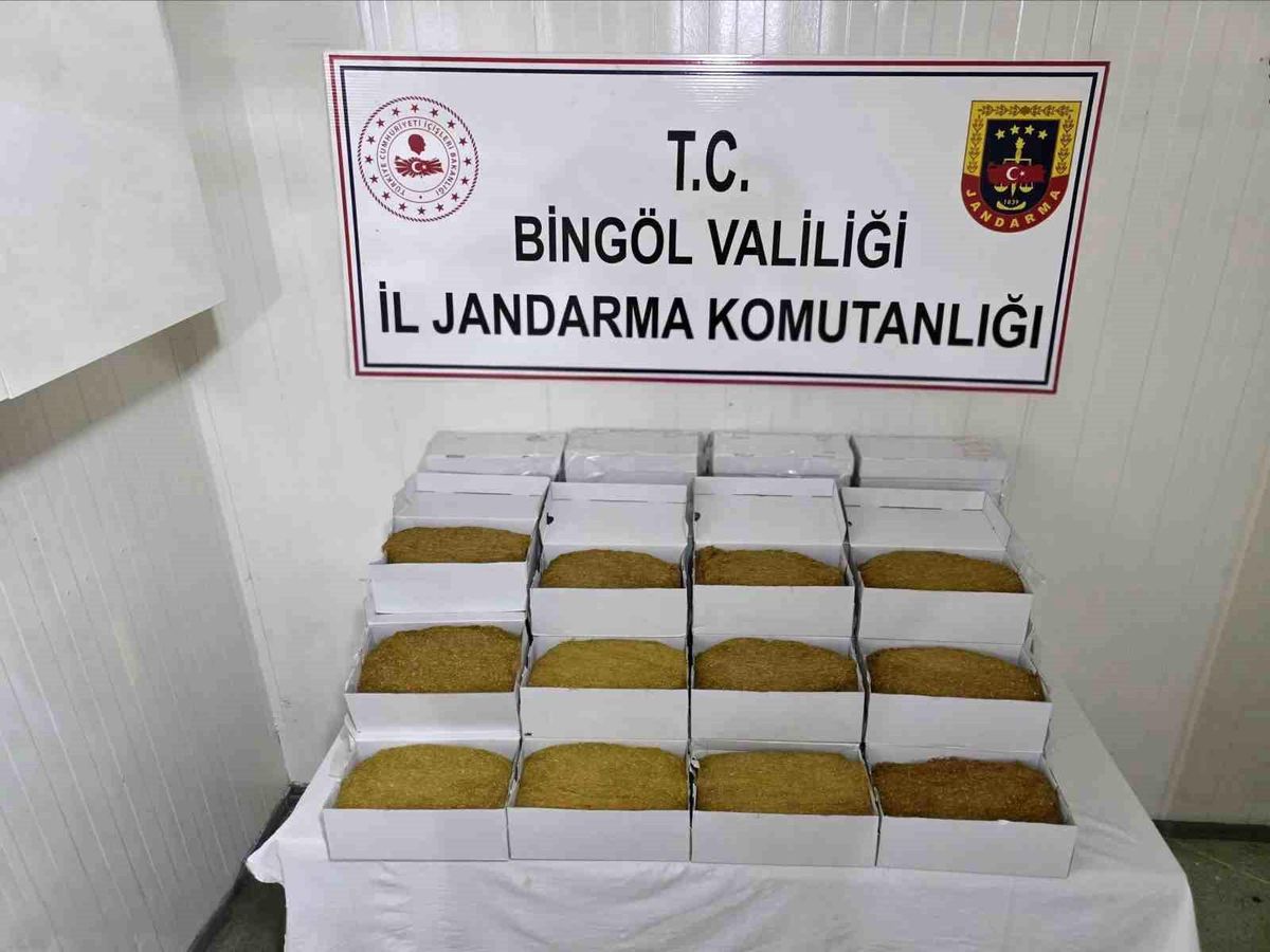 Bingöl'de aranan 6 şüpheli yakalandı