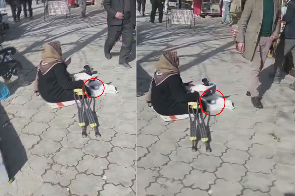 Dilencinin önündeki gören küçük dilini yuttu: Vergi mükellefidir yani