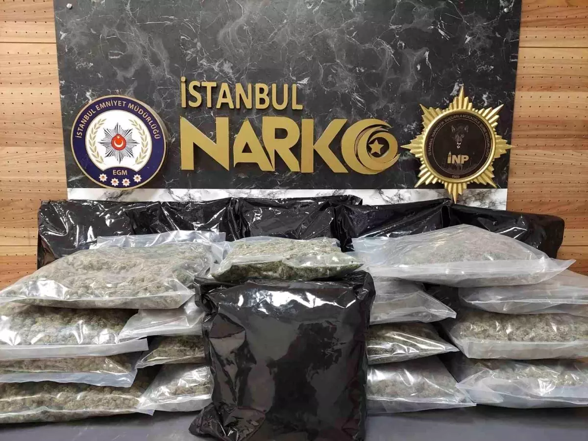 İstanbul'da uyuşturucu operasyonu: 22 kilo 450 gram skunk ele geçirildi