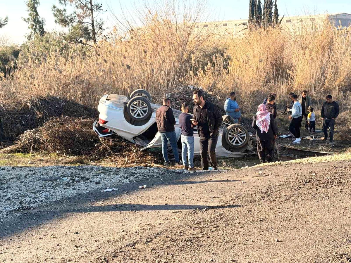 Pamuk sapları sürücünün hayatını kurtardı