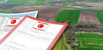 Ortak tapuda satış yapanlar dikkat! Yargıtay'dan kritik karar çıktı