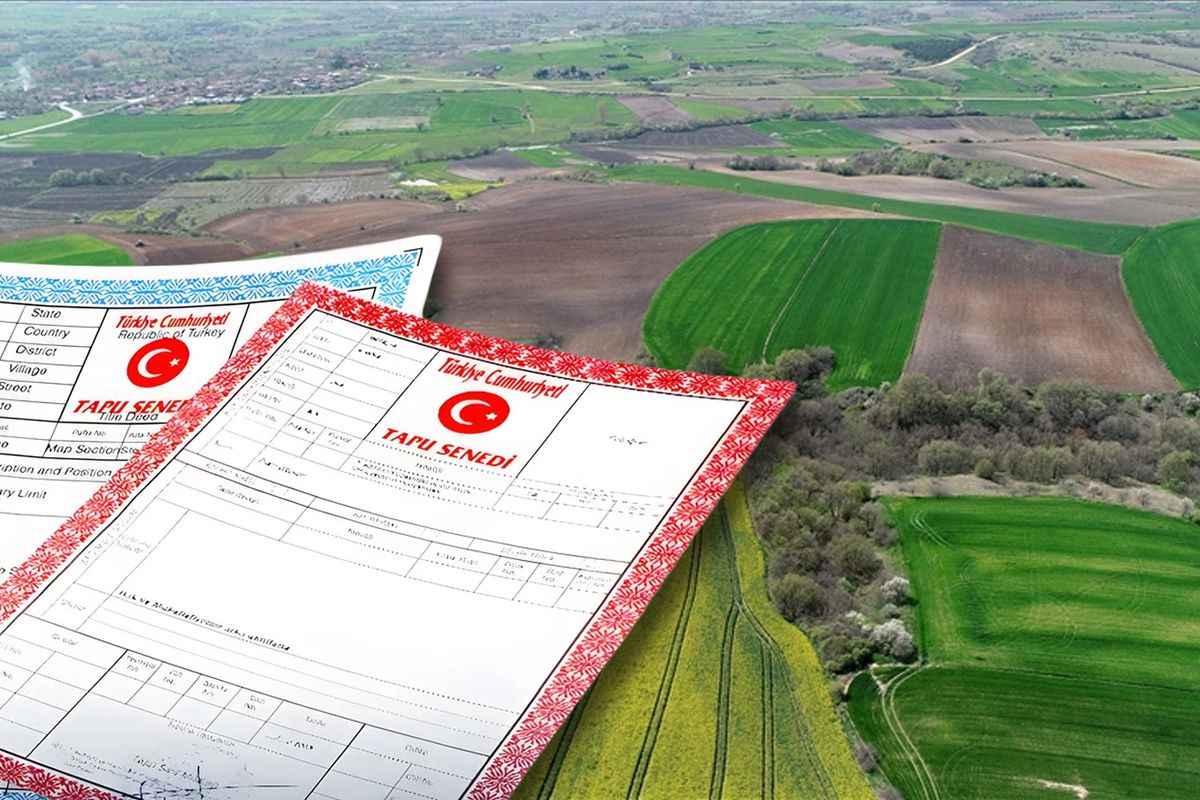 Ortak tapuda satış yapanlar dikkat! Yargıtay'dan kritik karar çıktı