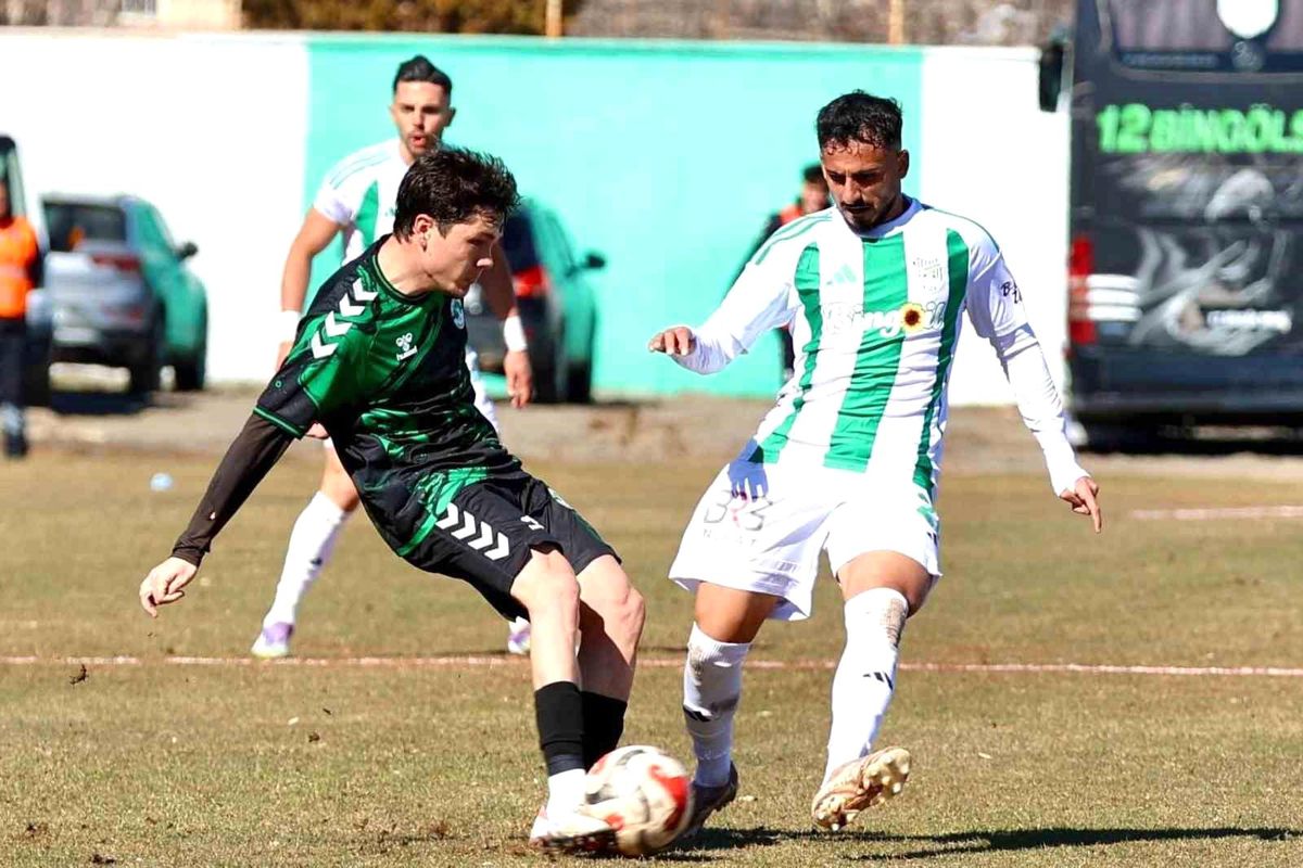 TFF 3. Lig: 12 Bingölspor: 0 Kırşehir FSK: 1