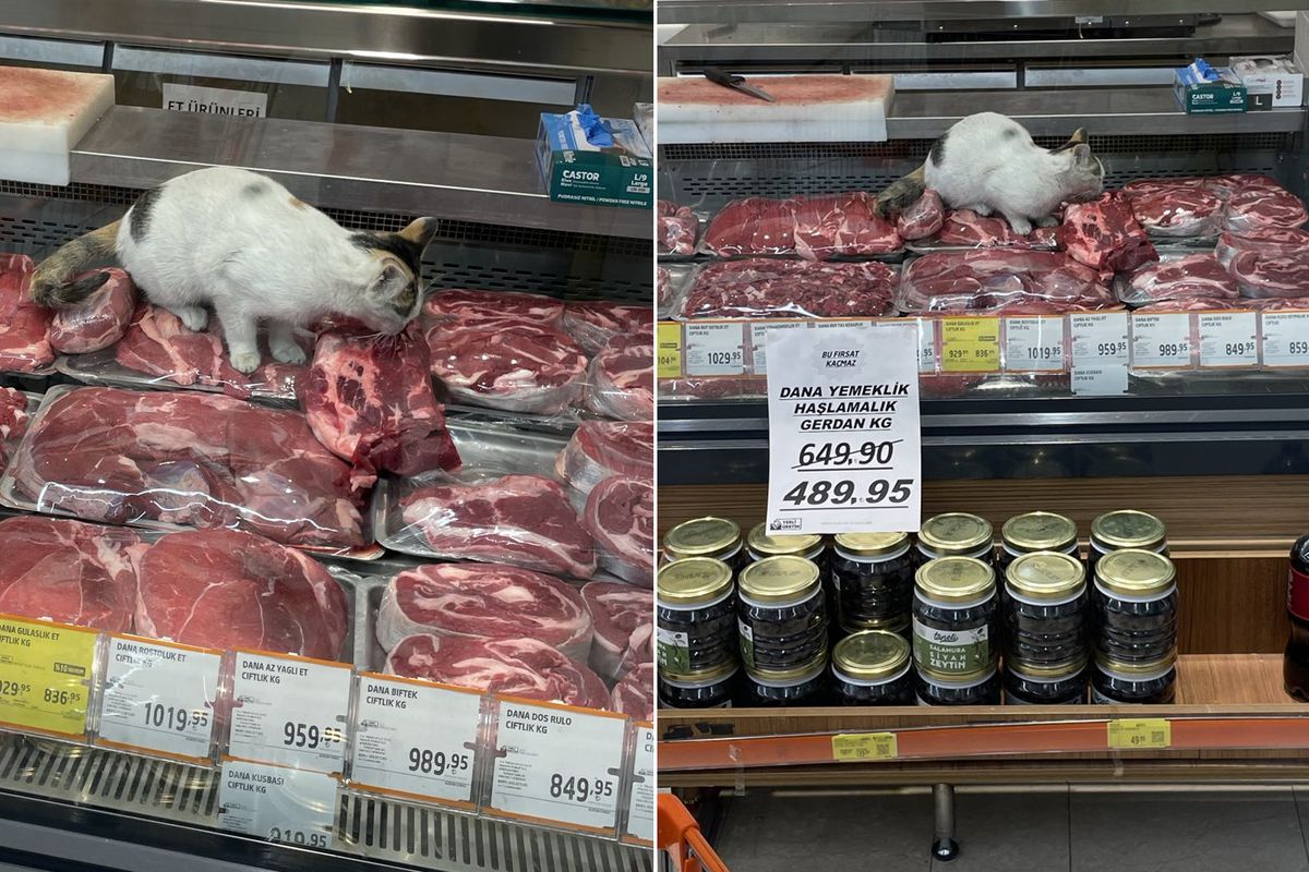 Yine zincir market yine mide bulandıran görüntüler