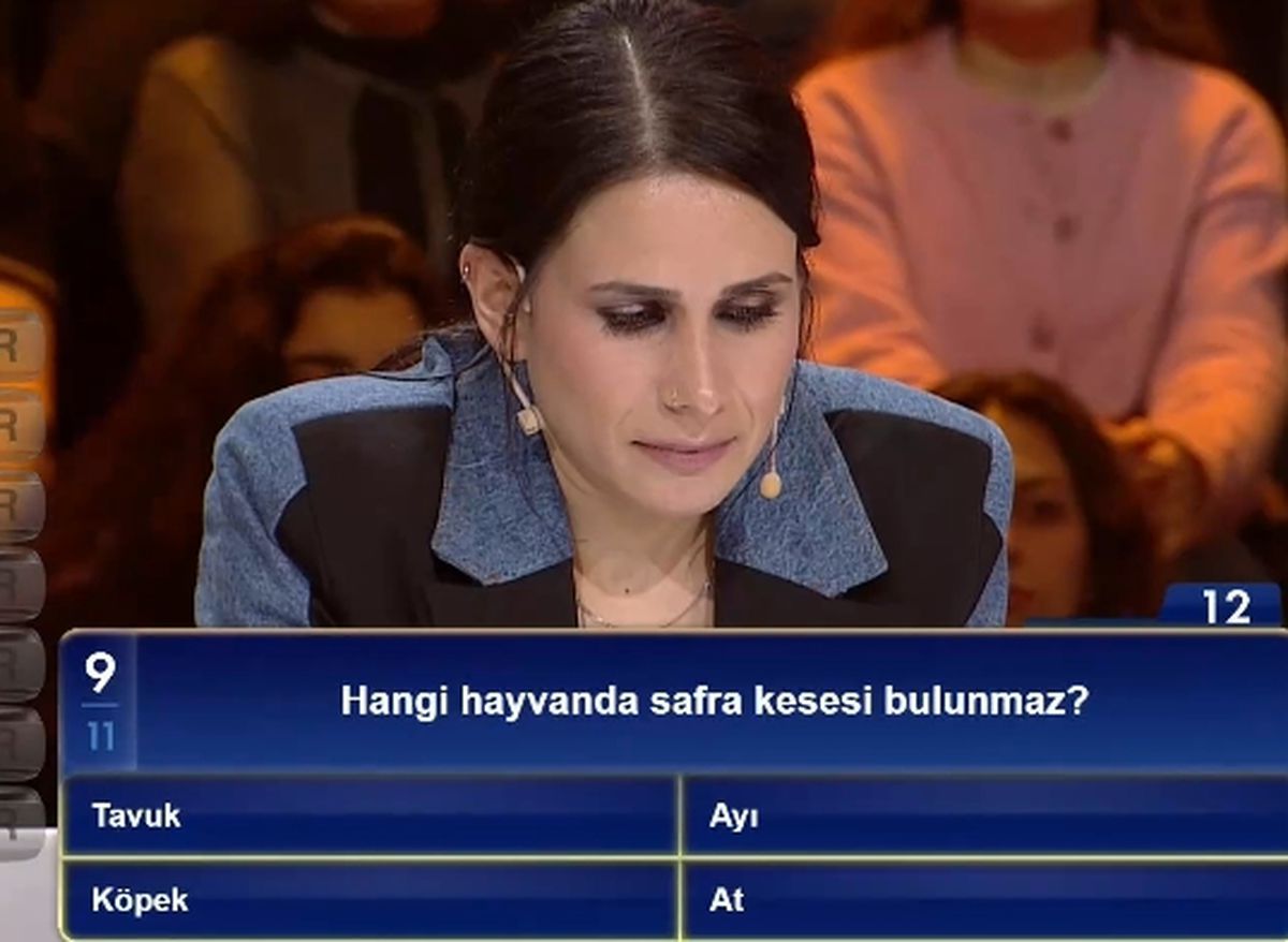 Hangi hayvanda safra kesesi bulunmaz?
