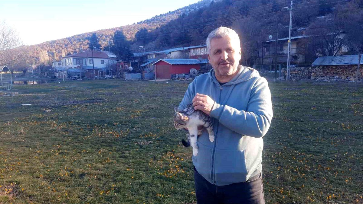 Konya'da aç kalan kediler için 30 kilometre yol gitti