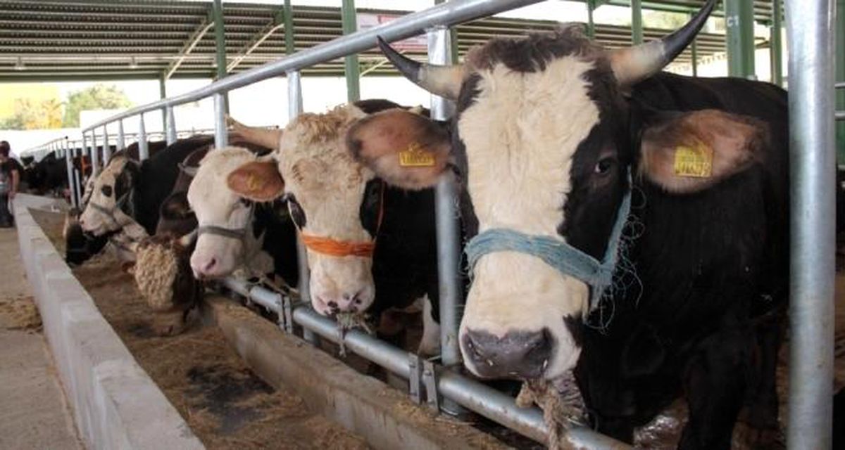 Muğla'da 11 mahalle karantinaya alındı