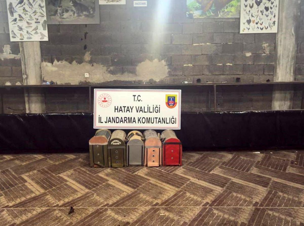 Süs Kanatlı Sokak Hayvanları Koruma Derneği'nde horoz dövüştürerek kumar oynayan 76 kişiye ceza yağdı