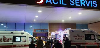 'İstanbul'da kuduz vakalarında patlama' iddialarına valilikten yanıt