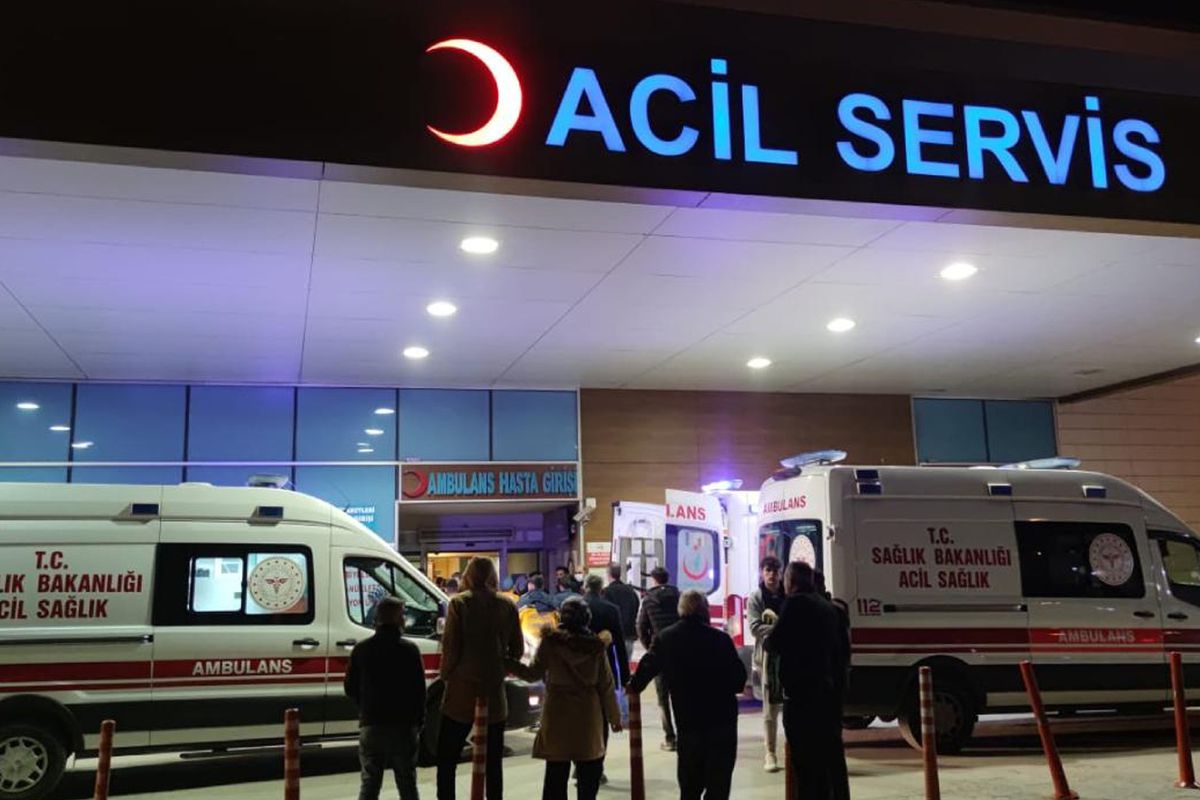 "İstanbul'da kuduz vakalarında patlama" iddialarına valilikten yanıt