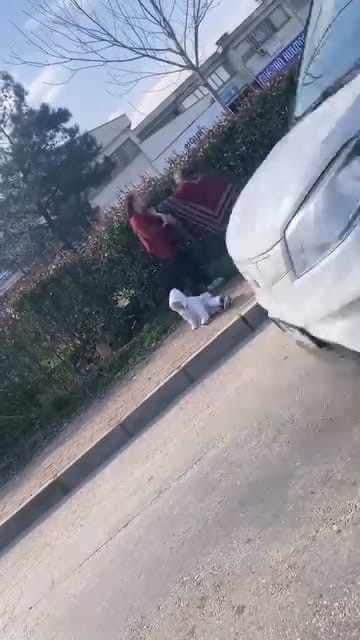 dilenci kadinlarin kavgasi kamerada kucagindaki 19598267 3863 m