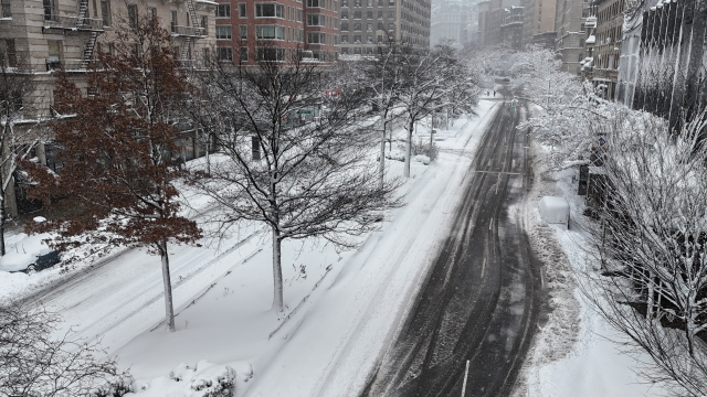 Images from New York where the snow depth reached 49 centimeters resembled scenes from disaster movies