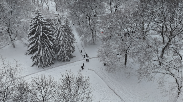 Images from New York where the snow depth reached 49 centimeters resembled scenes from disaster movies
