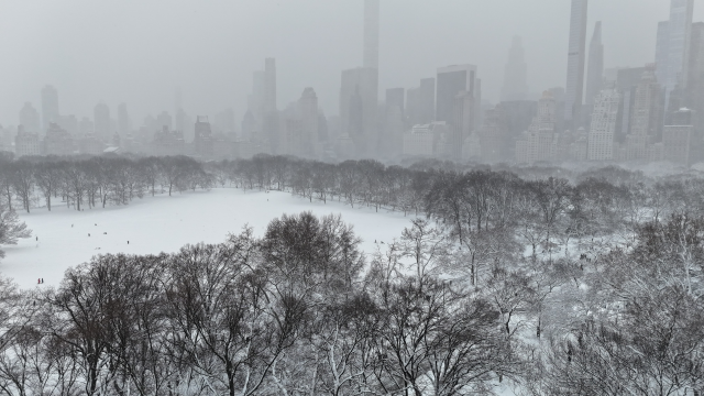 Images from New York where the snow depth reached 49 centimeters resembled scenes from disaster movies