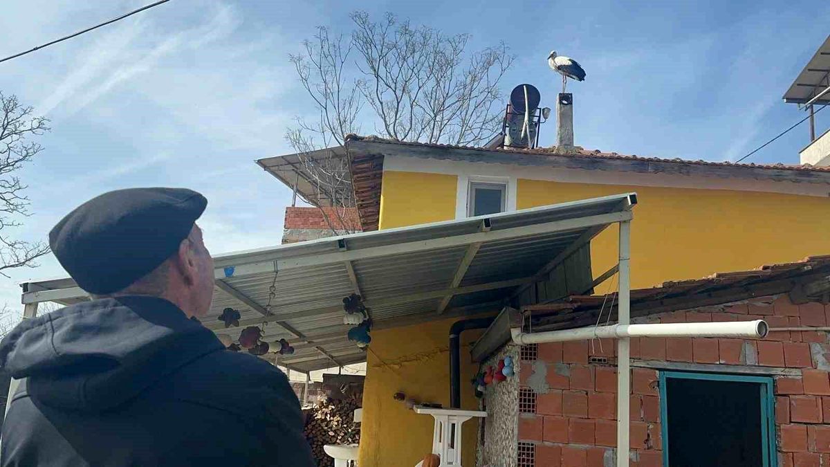 Leylek köyünde büyük sevinç: Eşi geldi, herkes Yaren'i bekliyor