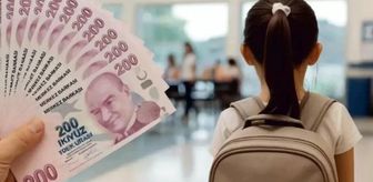 Bahçeşehir Okulları hakkında soruşturma mı başlatıldı, neden soruşturma başlatıldı? Bahçeşehir Okulları'nın sahibi kim?